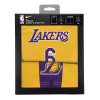 Nike NBA LA Lakers Icon Edition Box Jersey & Shorts Little Kids Set ''Lebron James''