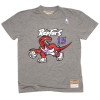 M&N NBA Toronto Raptors Vince Carter HWC Edition T-Shirt ''Grey''