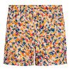 Air Jordan Essentials Poolside Swimming Kids Shorts ''Multicolor''